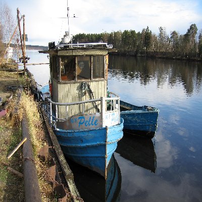 Pelle fotad 050519 i Umeå
<br />Ön,vid gamla flottar slipen