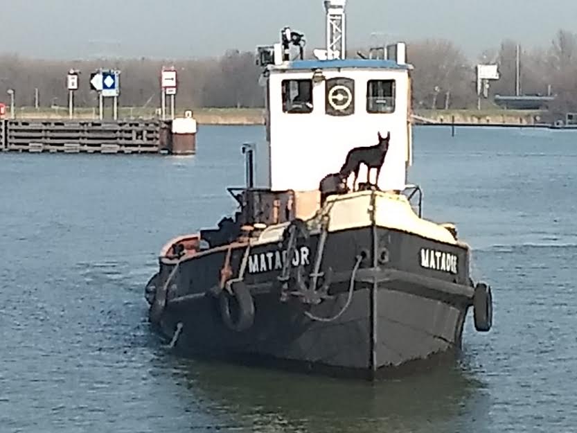 55 Ijburg.jpg