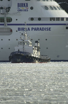 Birka Paradise har kört sönder bogpropellern i isen och knuffas in av Tug.