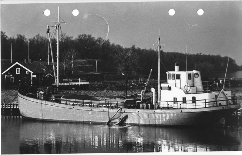 7134 Björn hamnen Visingsö foto wetterlind.jpg