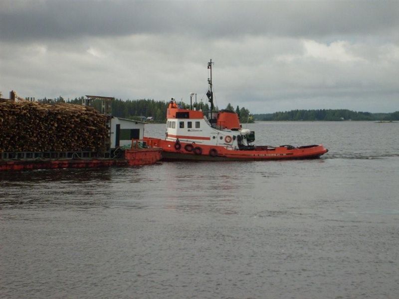 Eol Carrier 2 (8).jpg