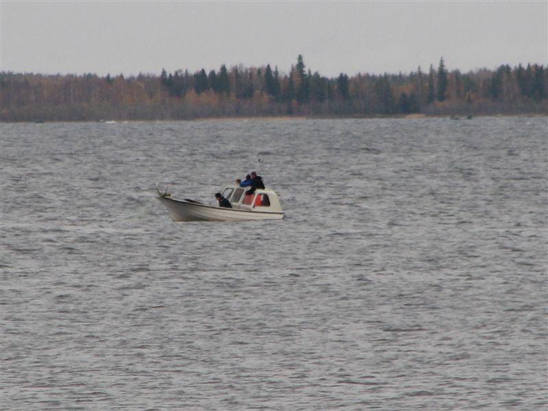 Löjfiske.jpg