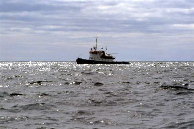 Bogs1990.jpg (39.71 KiB) Viewed 6089 times 1990