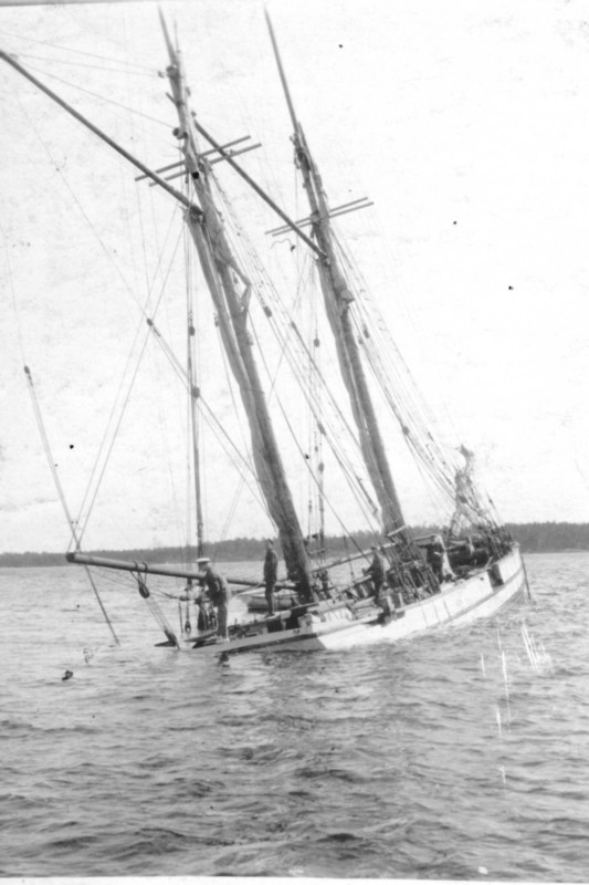 851 Vikingen Sjunken Sävsundet 1924.jpg