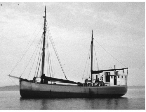 7112 DENIA ex NECKEN II b 1923  Lödöse f CG Nyström.jpg