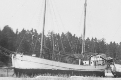 8184 SLCO Molly ev april 1946 Kållandsö delförs.jpg