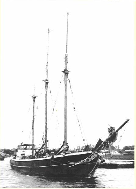 7353  Anna  1951.jpg