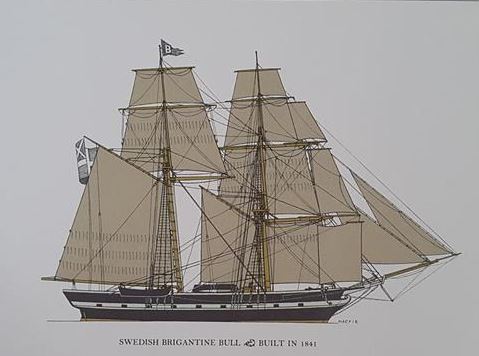 Bull 1841.JPG