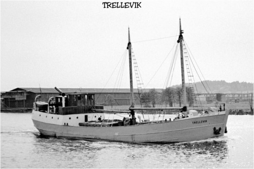 Trellevik 9158.jpg