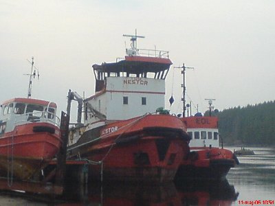 Arne Nestor Eol.jpg